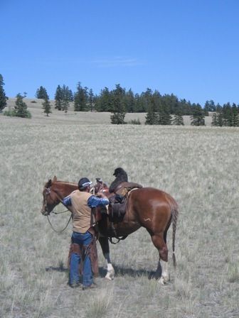 Mickey and dog Button riding DeeDee (2005 CFR reserve champion barrel racing horse) at Empire Valley Ranch in BC.
