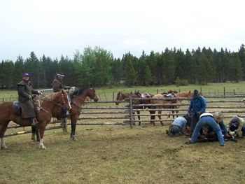 Sherra and her father-in-law Mickey heeling calves for branding at the Empire Valley Ranch, BC.
