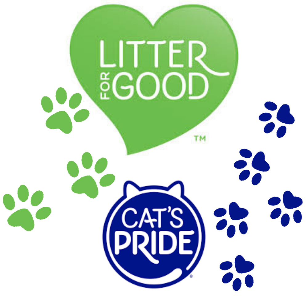 Cat's pride clearance litter for good