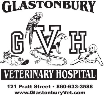 Glastonbury Veterinary Hospital • 121 Pratt Street • Glastonbury, CT • (860) 633-3588
