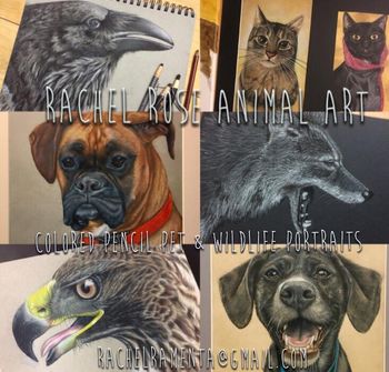 Rachel Rose Animal Art
