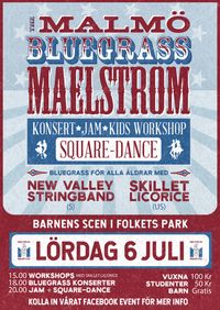 Malmö Bluegrass Maelstrom 2019 with New Valley Stringband