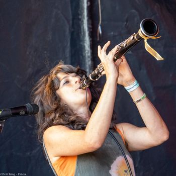 Purbeck Valley Folk Festival (Neil King)
