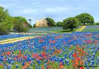 "Bluebonnet Heaven"