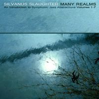 MANY REALMS - Symphonic Jazz-Pop Abstractions by Silvanus Slaughter