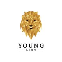 YOUNGLion Group Vol2 Hip-Hop Mix by YOUNGLion Group