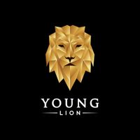 YOUNGLion Group Vol 1 Hip Hop Mix by YOUNGLion Group