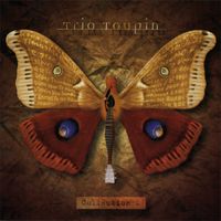 Collection 1 de Richard Toupin, Marcel Beauchamp et Robert Goulet (Trio Toupin)  - 2001