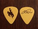 Chris LeDoux Guitar Picks