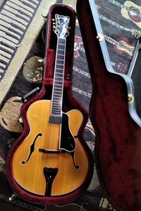 Jimmy Foster AT5-7 ...7 String  Archtop 