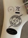  Epiphone Tommy Thayer White Lightning Explorer Outfit 