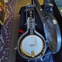 Washburn   B-17 ...5 String Banjo " Motivated Seller "