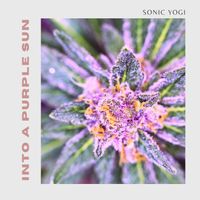 Into a Purple Sun  by Sonic Yogi