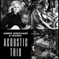 Amber Norgaard Trio at Monterey Court
