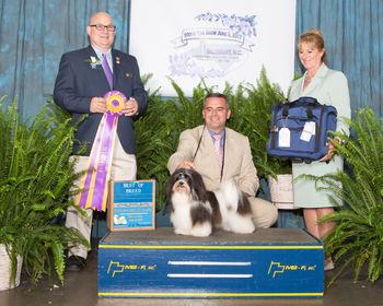 Brooklyn Best in Specialty Show
