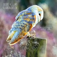 Ghost Owl: CD