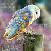Ghost Owl by Brooks Williams & Aaron Catlow