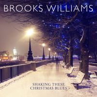 Shaking These Christmas Blues: DL by Brooks Williams