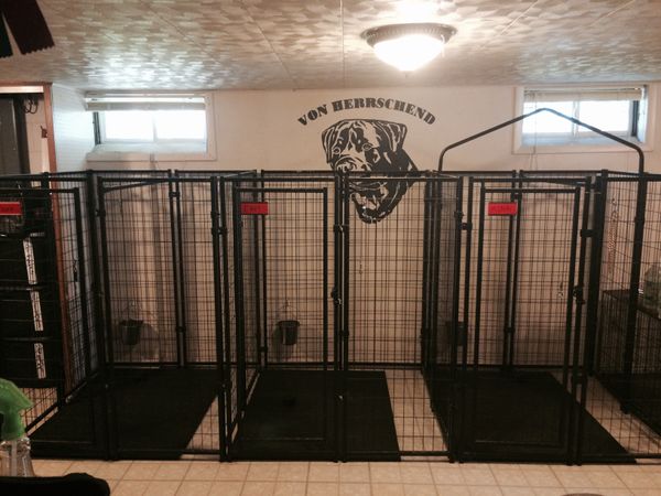 Indoor Kennels for Adults 