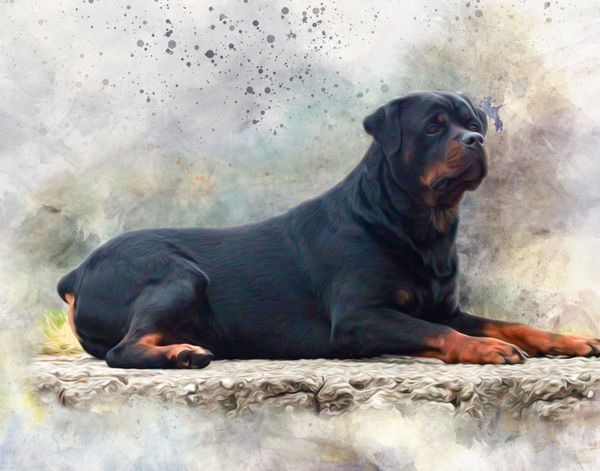 Von Herrschend Rottweilers