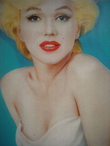 'Marylin Monroe' (sold)
