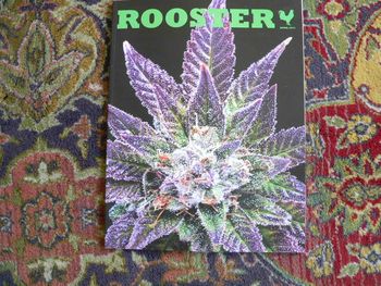 I wrote about "cannatax" for Boulder's Rooster magazine
