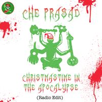 Christmastime in the Apocalypse (radio edit) by Che Prasad