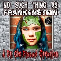 No Such Thing As Frankenstein by Che Prasad