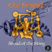 Afraid of the Sting by Che Prasad