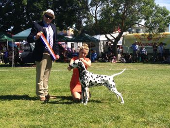 Anna Best in Group First Geelong Royal 2013
