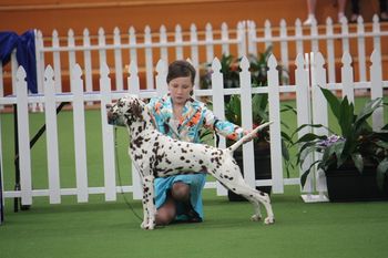 Effie at Adelaide Royal 2012
