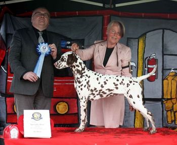 Minor Puppy in Show, Sun Specialty 2010
