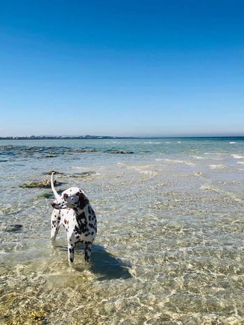 Day at the beach
