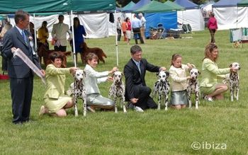 Pampard Breeders Team Vic Womens 2009 Freddy, Pebbles, Keira, Izzy & Genna
