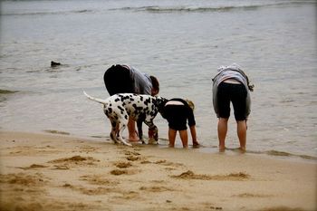 Beach Bums
