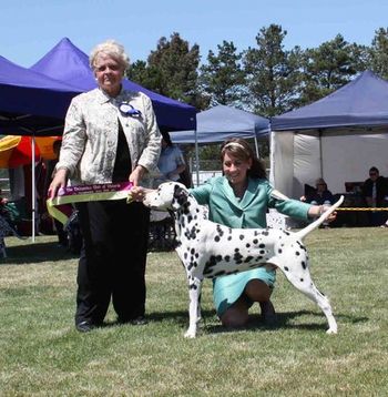 Opposite Junior in Show DCOV championship show 2009
