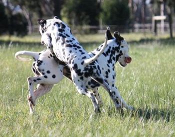 Keira & Hamish
