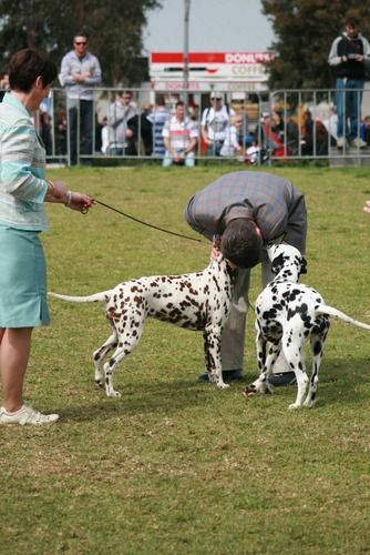 Pebbles & Keira Bcc & Res having kisses from Jonny in the ring
