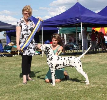 BEST IN SHOW DCOV Open Show 2009
