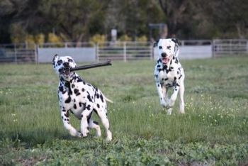 Keira & Hamish
