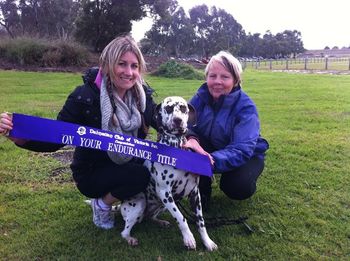 Ivy on the day she gained her ET with rider Aly and owner Maria.
