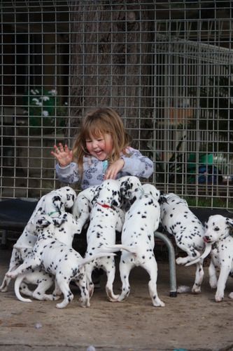 Brianna and HER babies - they just love her
