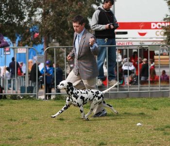 Melbourne Royal 2010
