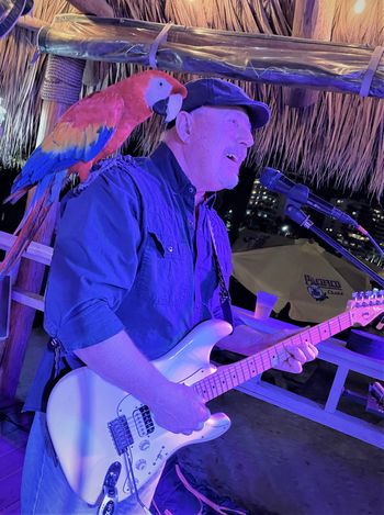 Cary - Harmonizing with Parrot!
