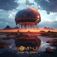 Rain 'Til Dawn (Original Mix) by Womp-Life