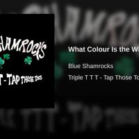 What Colour is the Wind  by The Blue Shamrocks