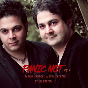 PANIC NOT - VOL. 2 - 2011
