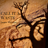 Call It A Waste by Jason McLain