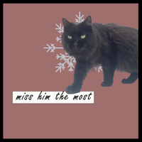 Miss Him the Most  by Abby London 