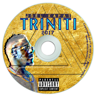 TRINITI 2017: TRINITI-2017 PHYSICAL COPY